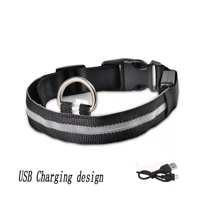 Collar LED Recargable por USB para Perros - Luminoso e Intermitente, Ideal para Paseos Nocturnos
