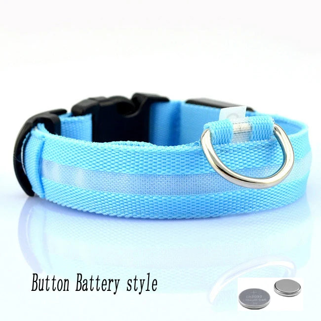 Collar LED Recargable por USB para Perros - Luminoso e Intermitente, Ideal para Paseos Nocturnos