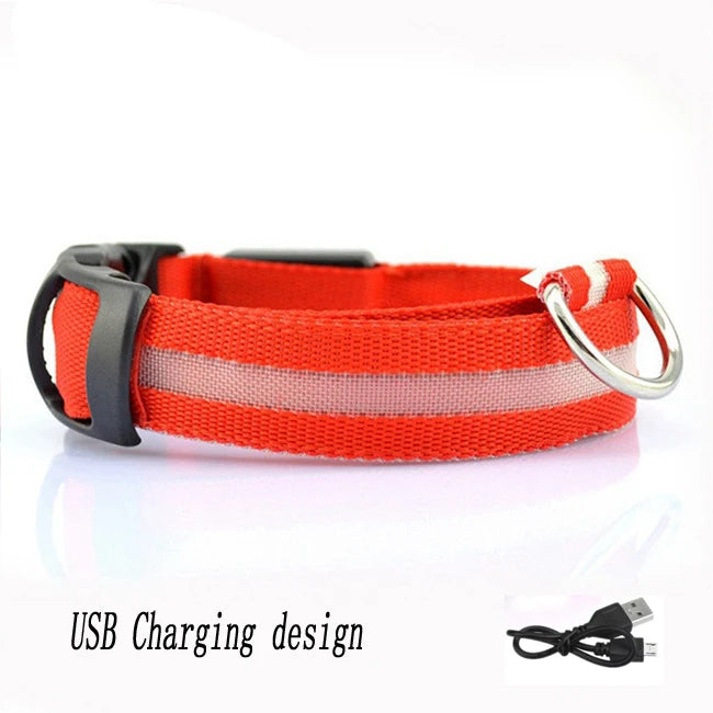 Collar LED Recargable por USB para Perros - Luminoso e Intermitente, Ideal para Paseos Nocturnos