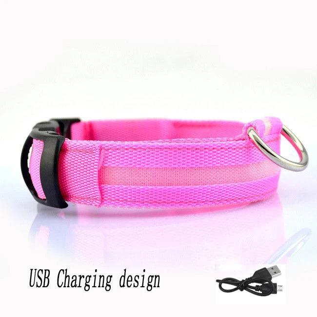 Collar LED Recargable por USB para Perros - Luminoso e Intermitente, Ideal para Paseos Nocturnos
