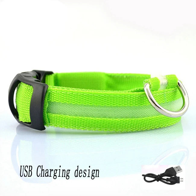 Collar LED Recargable por USB para Perros - Luminoso e Intermitente, Ideal para Paseos Nocturnos