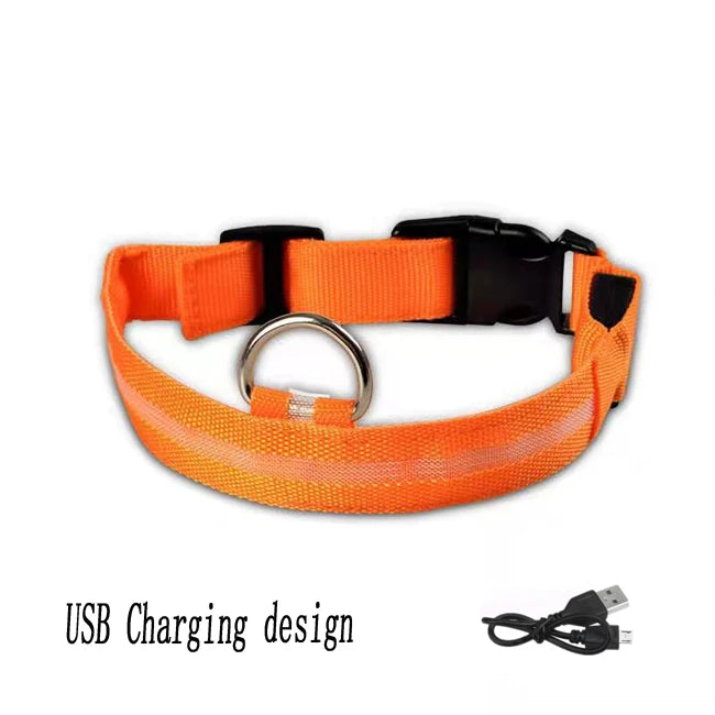 Collar LED Recargable por USB para Perros - Luminoso e Intermitente, Ideal para Paseos Nocturnos