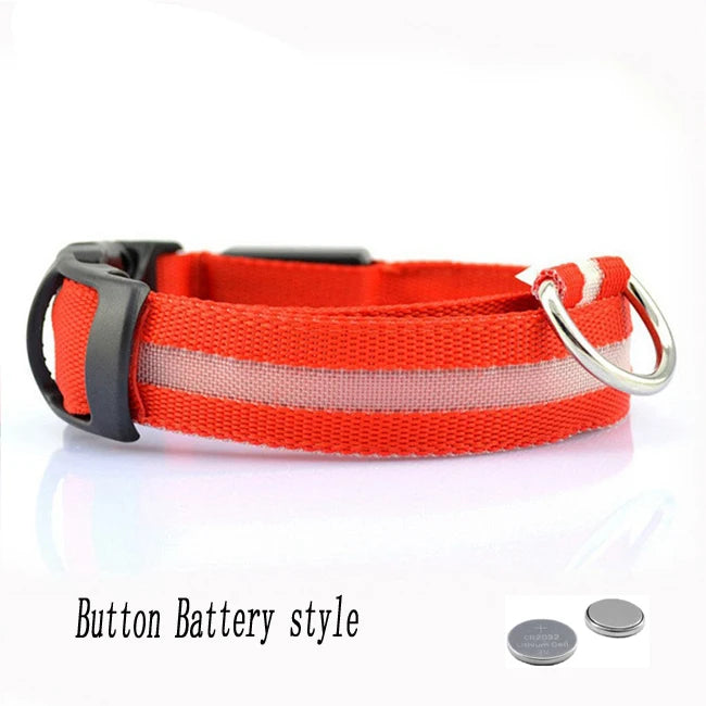Collar LED Recargable por USB para Perros - Luminoso e Intermitente, Ideal para Paseos Nocturnos