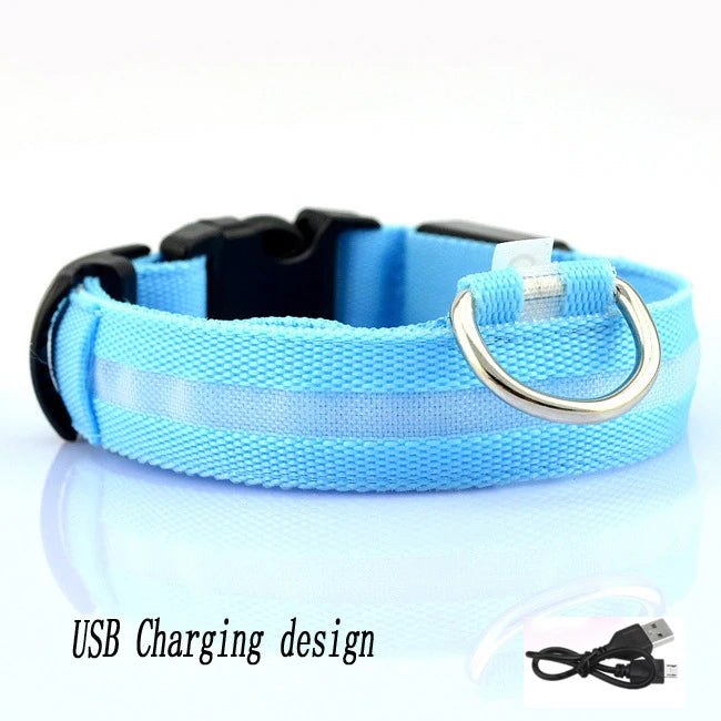 Collar LED Recargable por USB para Perros - Luminoso e Intermitente, Ideal para Paseos Nocturnos